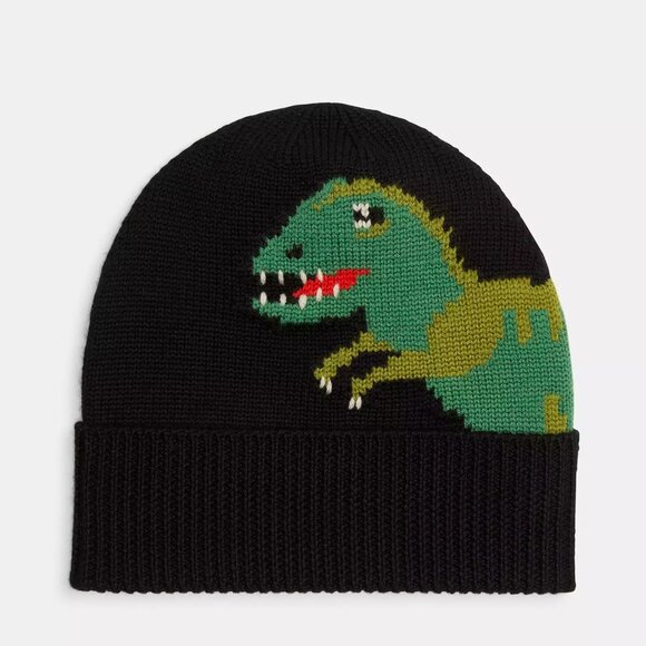 🦖 Coach Rexy Knit Beanie - Picture 1 of 9